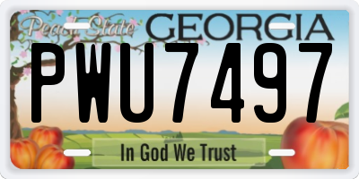 GA license plate PWU7497