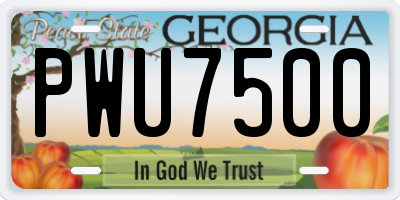 GA license plate PWU7500
