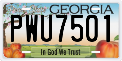 GA license plate PWU7501