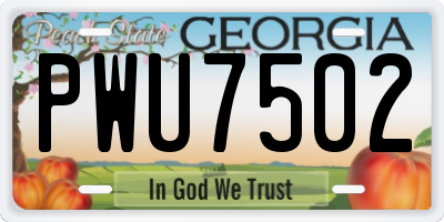 GA license plate PWU7502