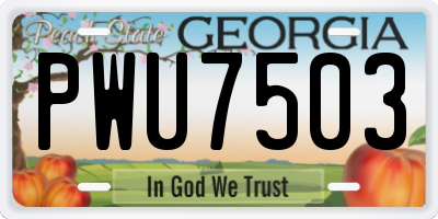 GA license plate PWU7503