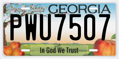 GA license plate PWU7507
