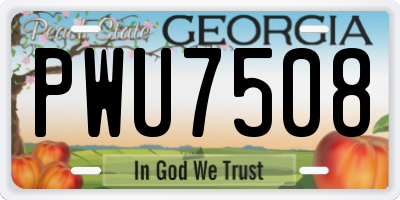 GA license plate PWU7508