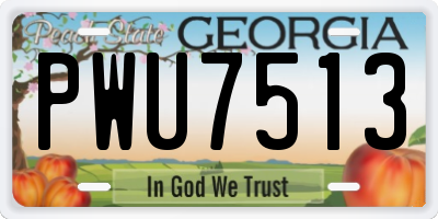 GA license plate PWU7513
