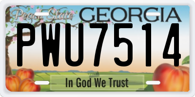 GA license plate PWU7514