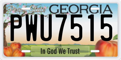 GA license plate PWU7515