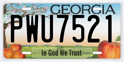 GA license plate PWU7521
