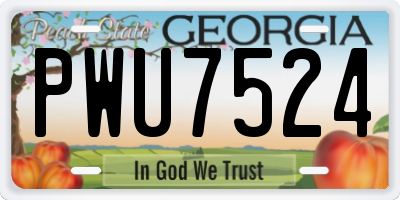 GA license plate PWU7524