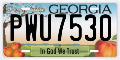 GA license plate PWU7530