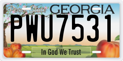 GA license plate PWU7531