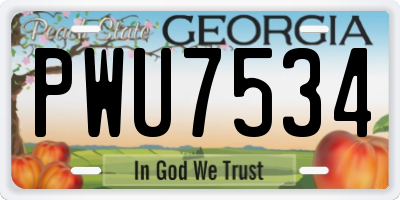 GA license plate PWU7534