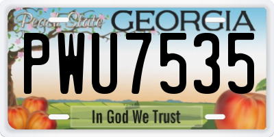 GA license plate PWU7535