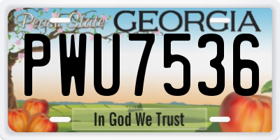 GA license plate PWU7536