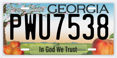 GA license plate PWU7538