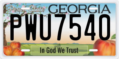 GA license plate PWU7540