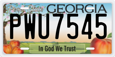 GA license plate PWU7545