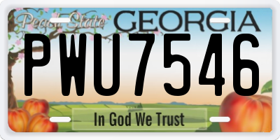 GA license plate PWU7546