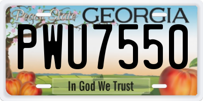 GA license plate PWU7550
