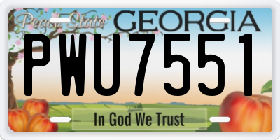 GA license plate PWU7551