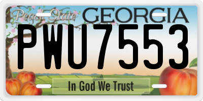 GA license plate PWU7553