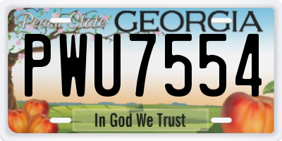 GA license plate PWU7554