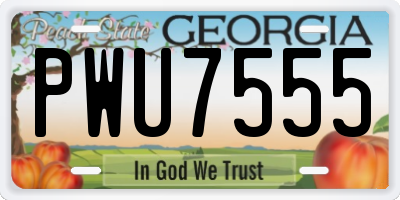 GA license plate PWU7555