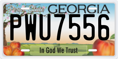 GA license plate PWU7556