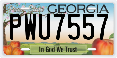GA license plate PWU7557