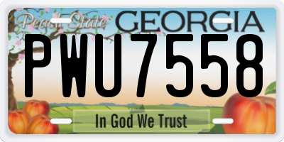 GA license plate PWU7558