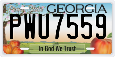 GA license plate PWU7559