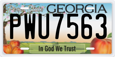 GA license plate PWU7563