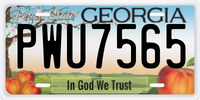 GA license plate PWU7565