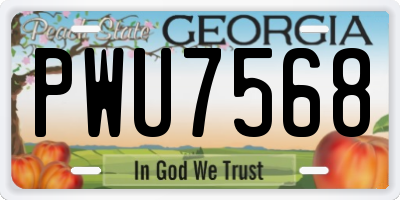 GA license plate PWU7568