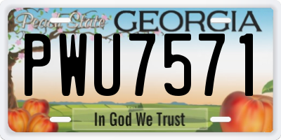 GA license plate PWU7571