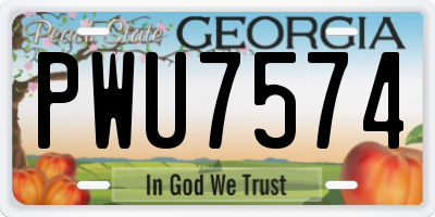 GA license plate PWU7574