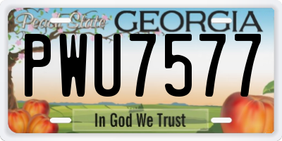 GA license plate PWU7577