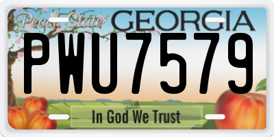 GA license plate PWU7579