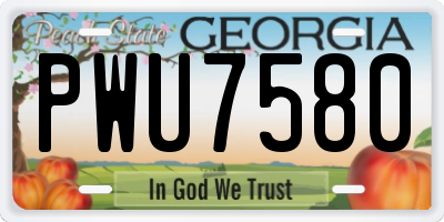GA license plate PWU7580