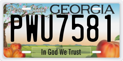 GA license plate PWU7581
