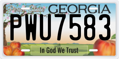 GA license plate PWU7583
