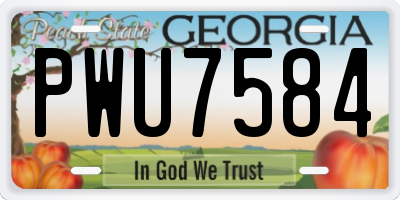 GA license plate PWU7584
