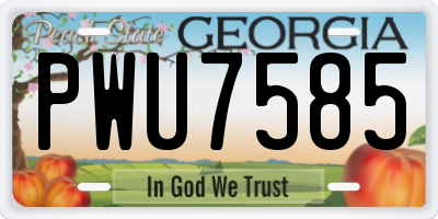 GA license plate PWU7585