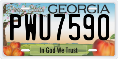 GA license plate PWU7590