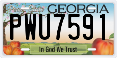 GA license plate PWU7591