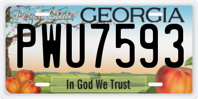 GA license plate PWU7593
