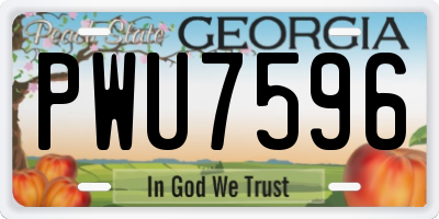 GA license plate PWU7596