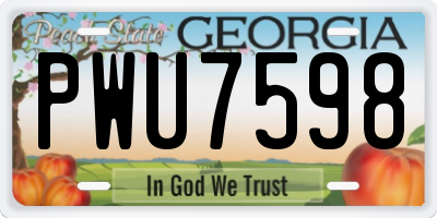 GA license plate PWU7598