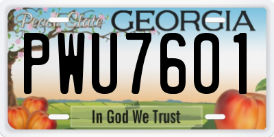 GA license plate PWU7601