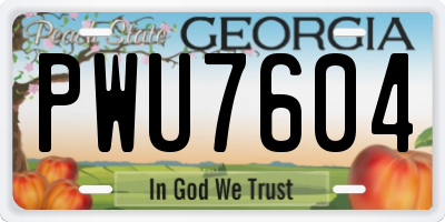 GA license plate PWU7604