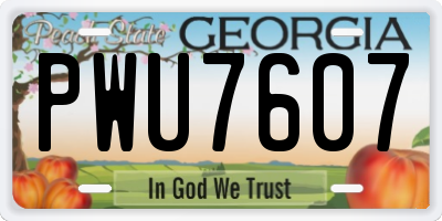 GA license plate PWU7607